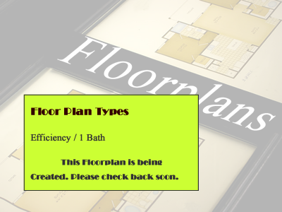 Efficiency / 1 Bath - 475 Sp.Ft.*
